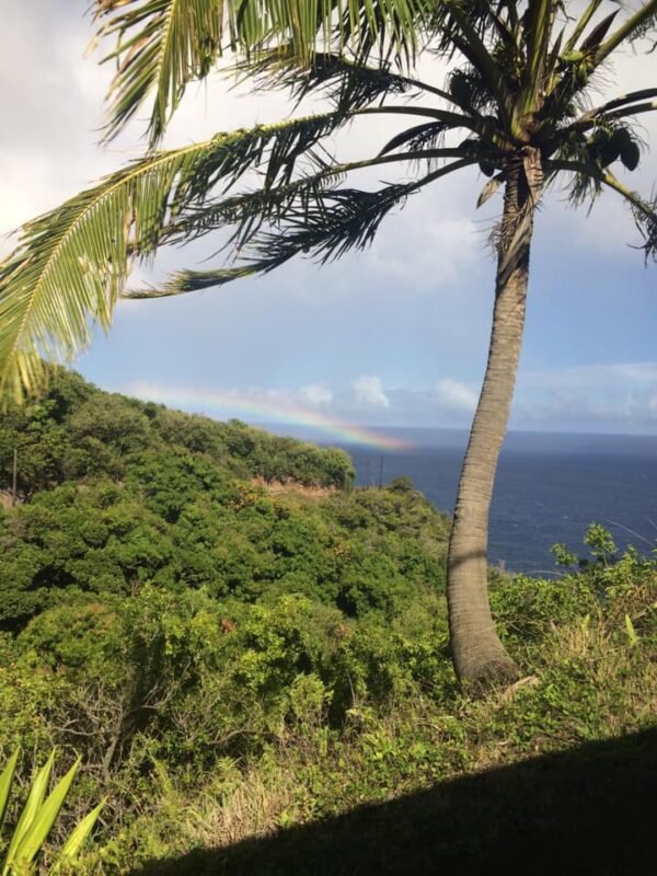 Aloha Friday Photo: Hawaii beauty