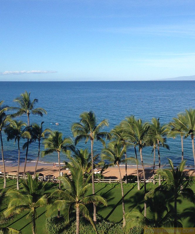 Hawaii's pre-travel testing program becomes more official + United Airlines to pilot pre-flight testing